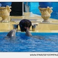 Marineland - Dauphins - Spectacle 14h30 - 0480