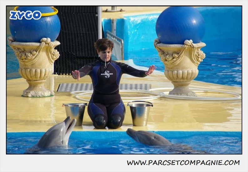 Marineland - Dauphins - Spectacle 14h30 - 0481