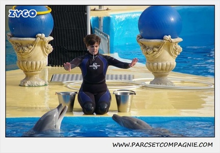 Marineland - Dauphins - Spectacle 14h30 - 0481