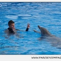 Marineland - Dauphins - Spectacle 14h30 - 0482