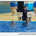Marineland - Dauphins - Spectacle 14h30 - 0483