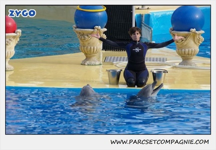 Marineland - Dauphins - Spectacle 14h30 - 0483
