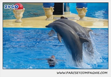 Marineland - Dauphins - Spectacle 14h30 - 0486
