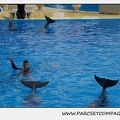 Marineland - Dauphins - Spectacle 14h30 - 0487