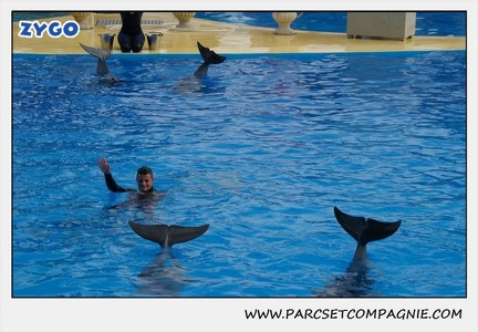 Marineland - Dauphins - Spectacle 14h30 - 0487
