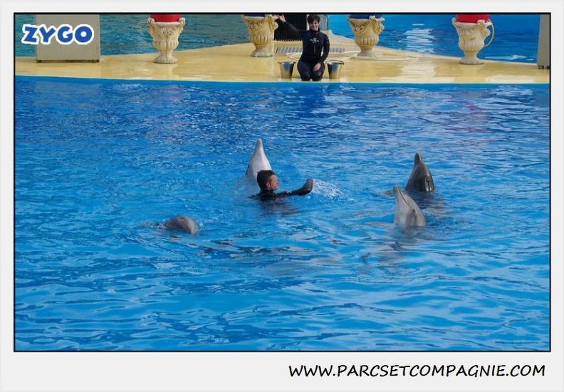 Marineland - Dauphins - Spectacle 14h30 - 0488