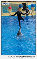Marineland - Dauphins - Spectacle 14h30 - 0489
