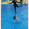 Marineland - Dauphins - Spectacle 14h30 - 0489