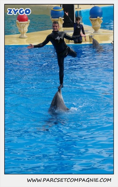 Marineland - Dauphins - Spectacle 14h30 - 0490