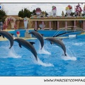 Marineland - Dauphins - Spectacle 14h30 - 0491