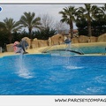 Marineland - Dauphins - Spectacle 14h30 - 0492