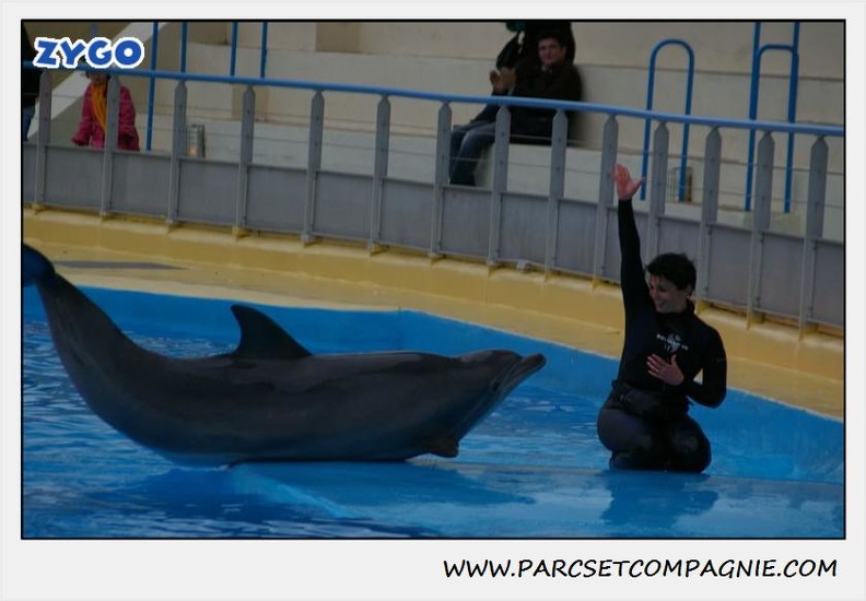 Marineland - Dauphins - Spectacle 17h30 - 0493