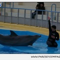 Marineland - Dauphins - Spectacle 17h30 - 0493