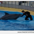 Marineland - Dauphins - Spectacle 17h30 - 0494
