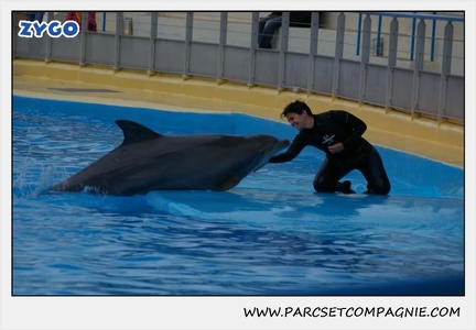 Marineland - Dauphins - Spectacle 17h30 - 0494