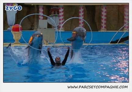 Marineland - Dauphins - Spectacle 17h30 - 0495