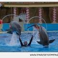 Marineland - Dauphins - Spectacle 17h30 - 0496