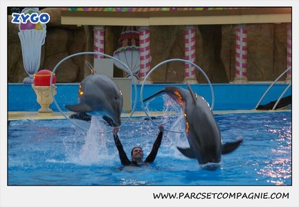 Marineland - Dauphins - Spectacle 17h30 - 0496