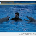 Marineland - Dauphins - Spectacle 17h30 - 0498
