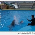 Marineland - Dauphins - Spectacle 17h30 - 0501