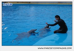 Marineland - Dauphins - Spectacle 17h30 - 0503