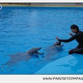 Marineland - Dauphins - Spectacle 17h30 - 0503