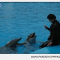 Marineland - Dauphins - Spectacle 17h30 - 0505