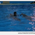Marineland - Dauphins - Spectacle 17h30 - 0506