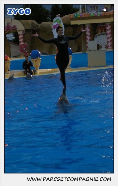 Marineland - Dauphins - Spectacle 17h30 - 0508