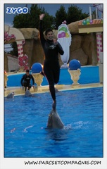 Marineland - Dauphins - Spectacle 17h30 - 0509