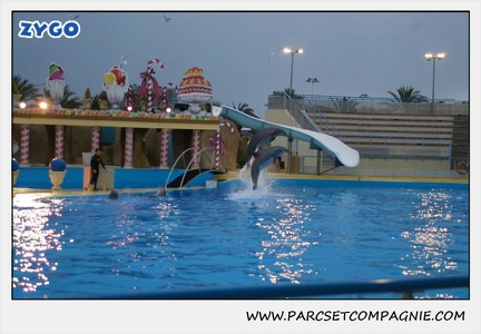 Marineland - Dauphins - Spectacle 17h30 - 0510