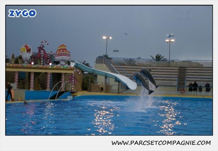 Marineland - Dauphins - Spectacle 17h30 - 0511