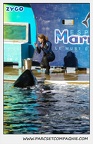 Marineland - Orques - Spectacle - 0783