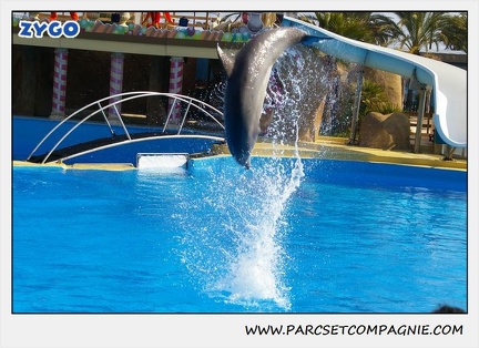 Marineland - Dauphins - Spectacle 14h30 - 1032