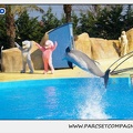 Marineland - Dauphins - Spectacle 14h30 - 1033