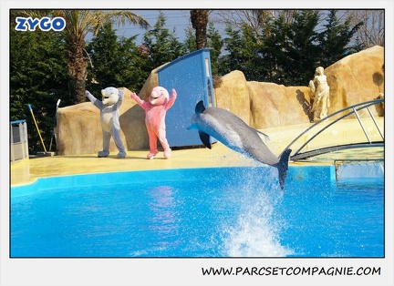 Marineland - Dauphins - Spectacle 14h30 - 1033