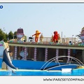 Marineland - Dauphins - Spectacle 14h30 - 1035