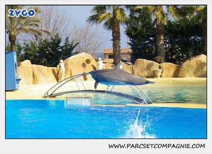 Marineland - Dauphins - Spectacle 14h30 - 1036