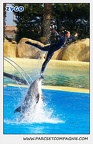Marineland - Dauphins - Spectacle 14h30 - 1037