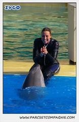 Marineland - Dauphins - Spectacle 14h30 - 1038