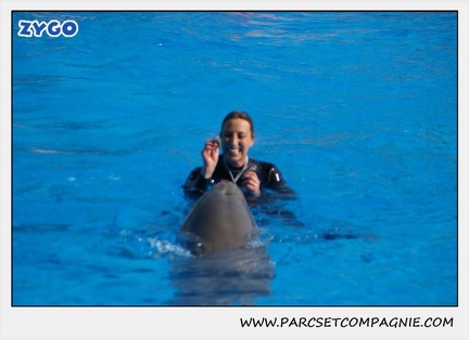 Marineland - Dauphins - Spectacle 14h30 - 1039