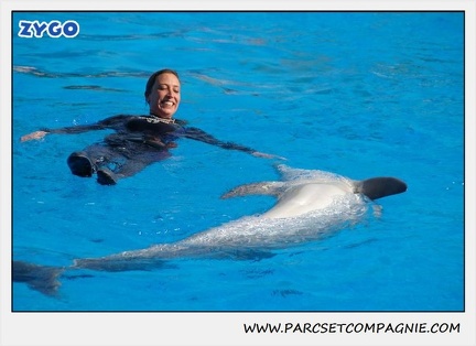 Marineland - Dauphins - Spectacle 14h30 - 1040
