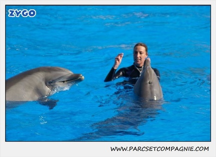 Marineland - Dauphins - Spectacle 14h30 - 1041