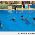 Marineland - Dauphins - Spectacle 14h30 - 1042