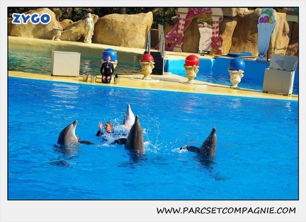 Marineland - Dauphins - Spectacle 14h30 - 1043