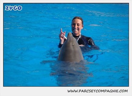 Marineland - Dauphins - Spectacle 14h30 - 1044