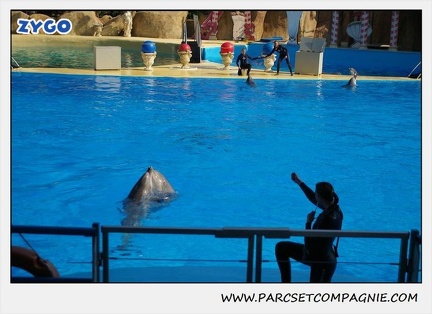 Marineland - Dauphins - Spectacle 14h30 - 1045