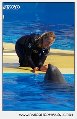 Marineland - Dauphins - Spectacle 14h30 - 1048