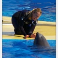 Marineland - Dauphins - Spectacle 14h30 - 1048