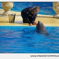 Marineland - Dauphins - Spectacle 14h30 - 1049
